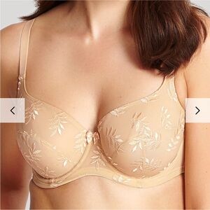 Panache Tango Balconnet size: 38JJ